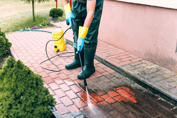 Best Spring Cleaning  in Wellman, IA